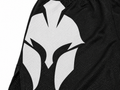 Spartan Shorts — Black Mesh
