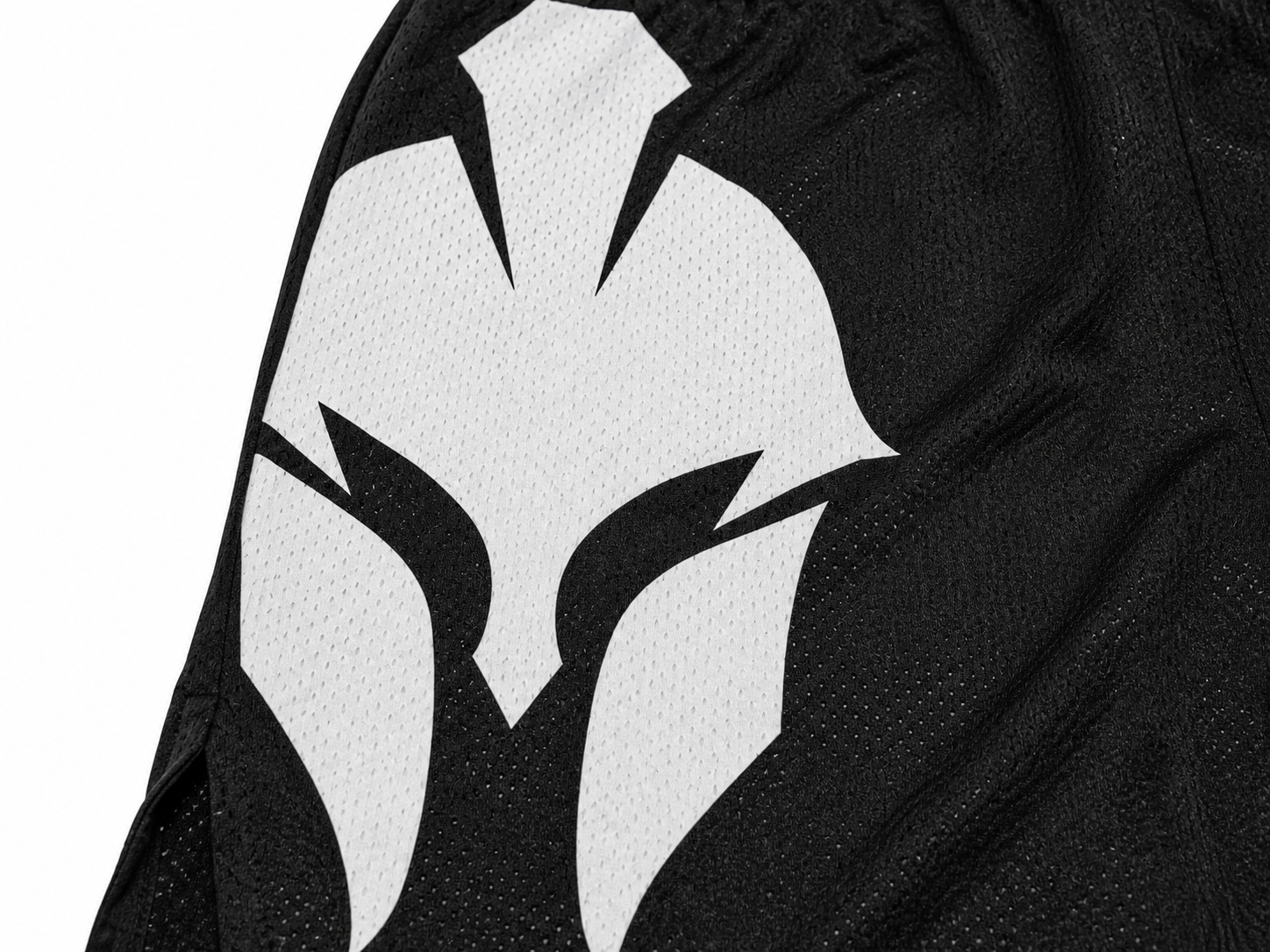 Spartan Shorts — Black Mesh